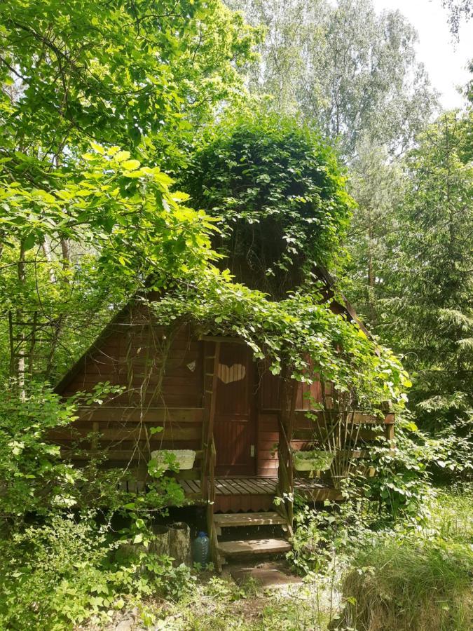 W Lesie Holiday home Aleksandrow (Grojec)